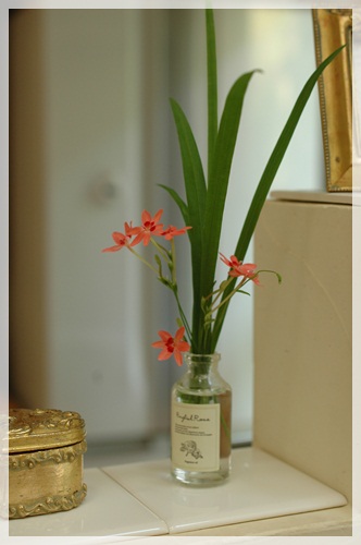 何の花?
