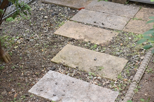 71259675.jpg