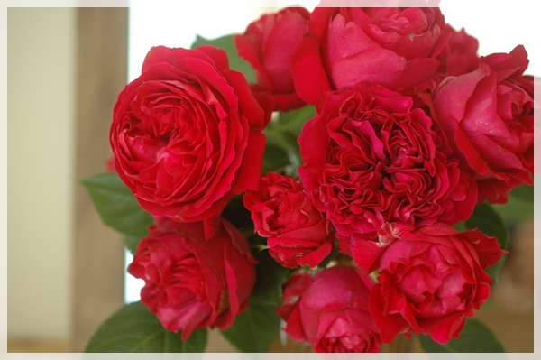 d5f2f296.jpg