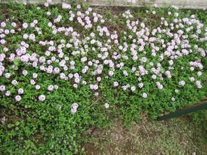 タイム4