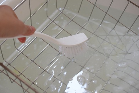 ブラシで洗う