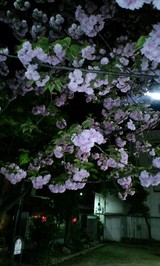 6372d4e3.jpg
