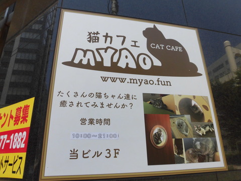 CIMG8071