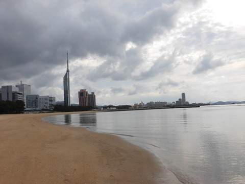 CIMG7849