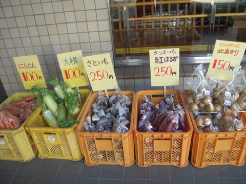 DSCN0973