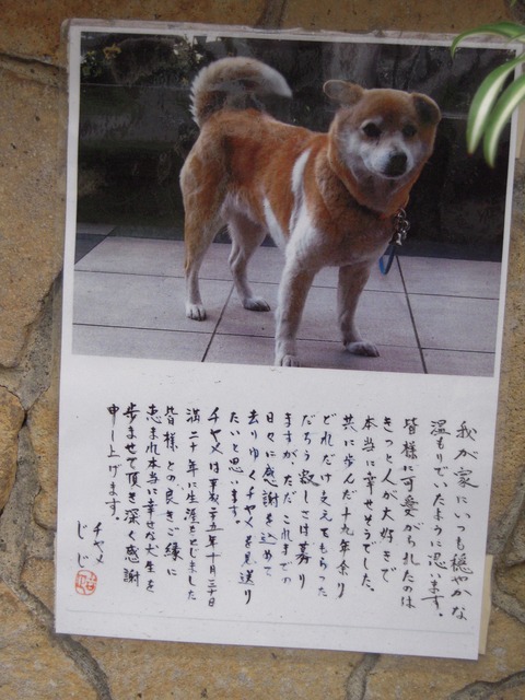DSCN6201