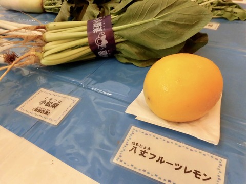 fullsizeoutput_3400