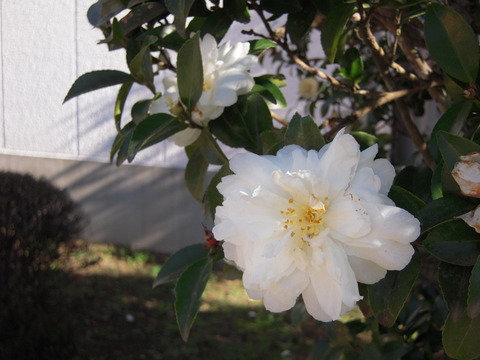 DSCN1172
