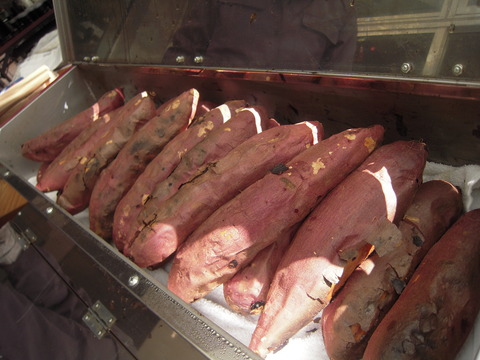 DSCN0976