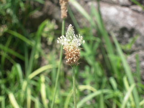 DSCN3163