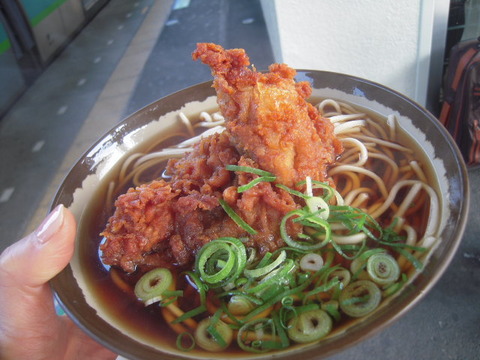 DSCN2254