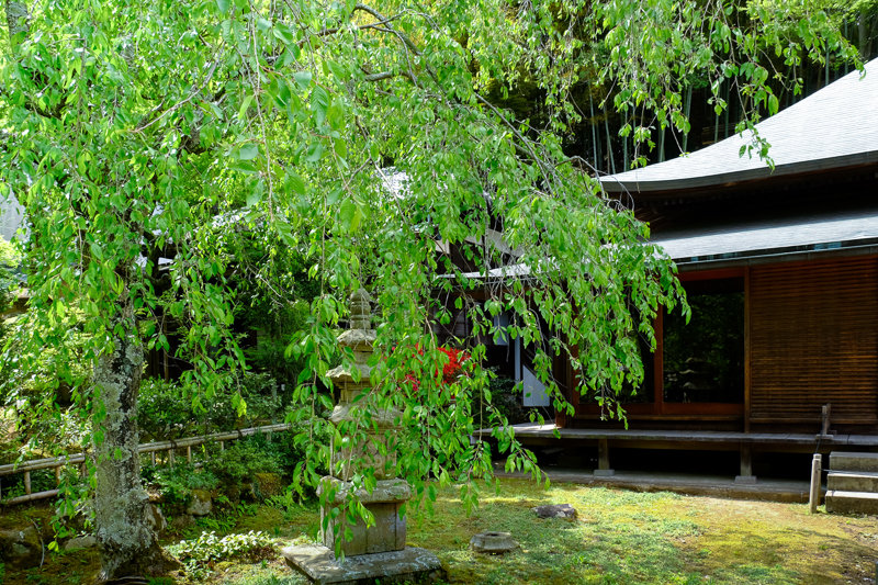 20180416東慶寺_3
