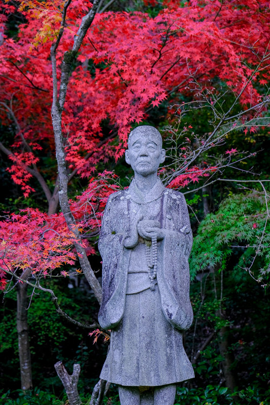 20181120_一休寺_9