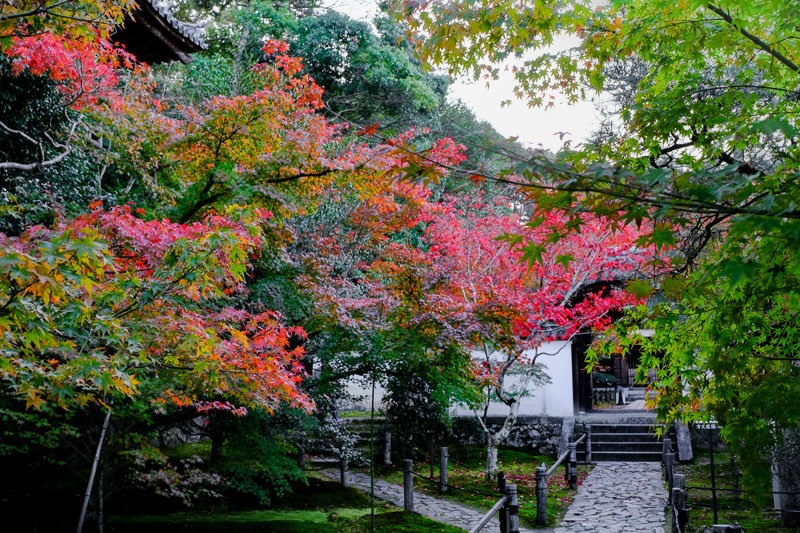 20181120_一休寺_2