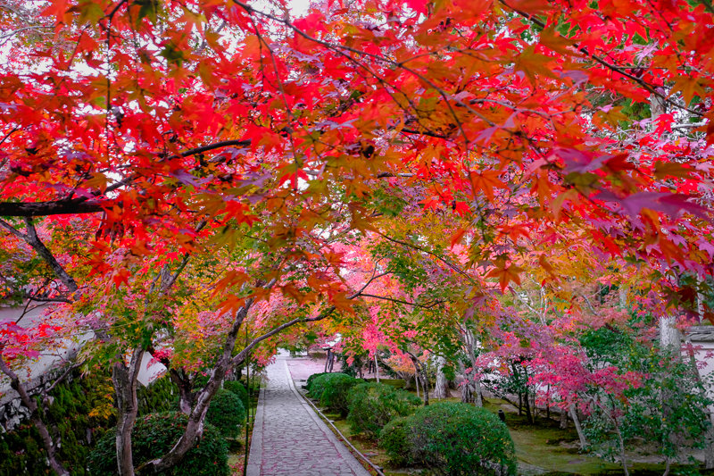 20181120_一休寺_1