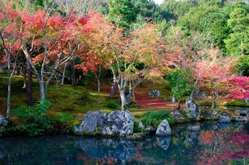 20181121_天龍寺_3