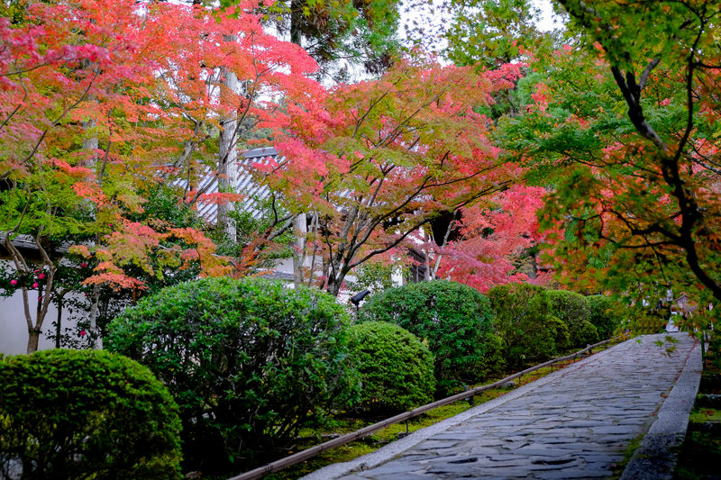 20181120_一休寺_4