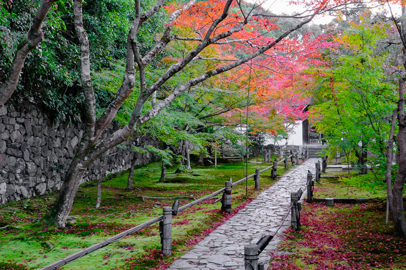 20181120_一休寺_3