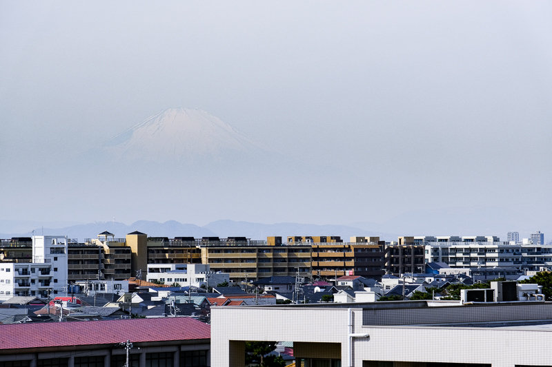 20190224_常立寺梅_12