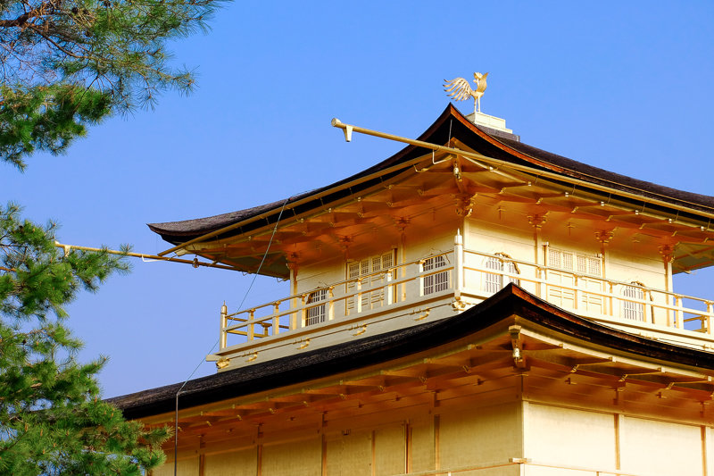 20180402_金閣寺_5