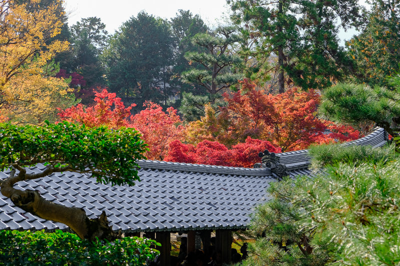 20181121_東福寺_11