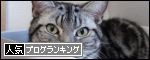 br_decobanner_20091230003009