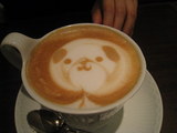 b1a4fa03.JPG