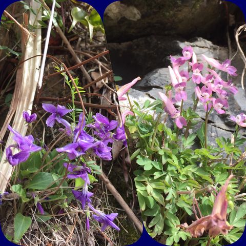 �����ͤν���