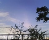 18f01f95.jpg