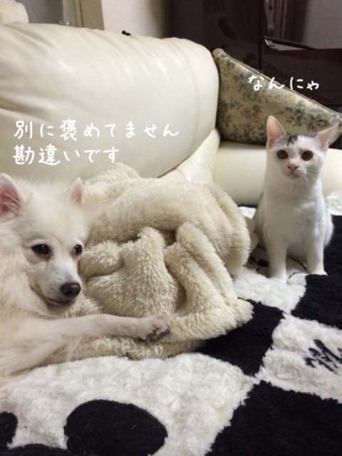 {A193D903-88DD-4572-8438-D85198FE4B8C:01}
