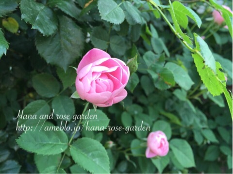 {D111FEAF-4BE3-4BAF-B256-9E5A93AC7B02:01}