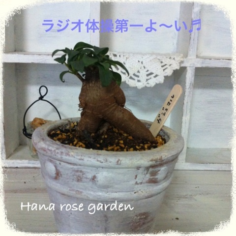 {5373E257-3037-4297-9211-B246EA4837B2:01}