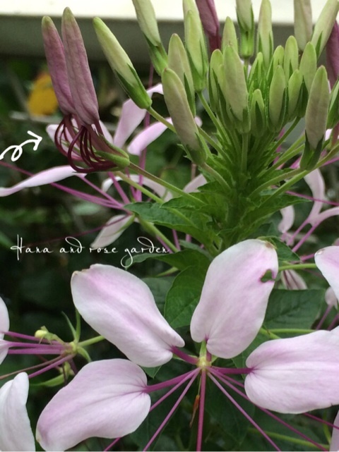 {2B5C4F5B-A813-48EE-B646-F174A4A1FD63:01}