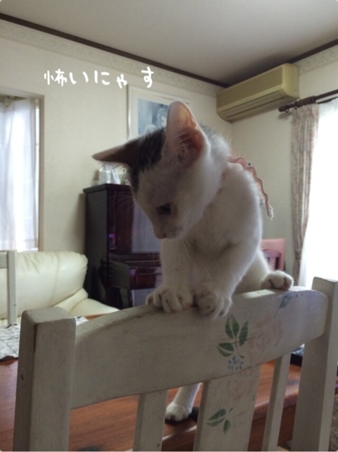{B59D8519-8C39-4B69-8A63-4301ED93E201:01}