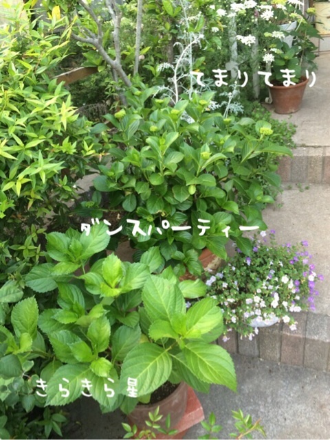 {5F99CA42-0CEC-40D3-B52D-D5AFFF8617B8:01}