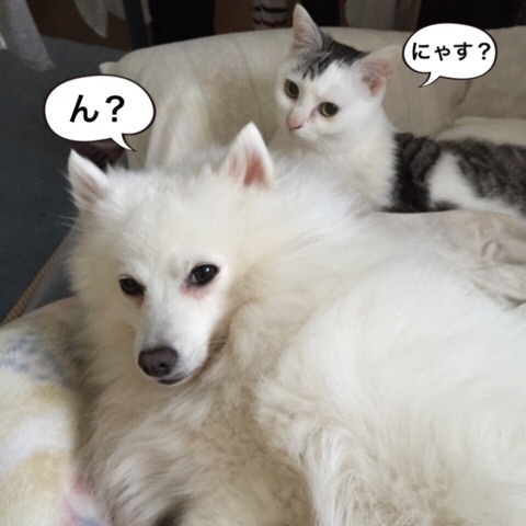 {F6F9E6D3-E3F2-4638-8220-857DB2CB8CF4:01}