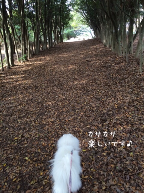 {F2DC802E-7ADD-4C27-9A27-065AEE71D68B:01}