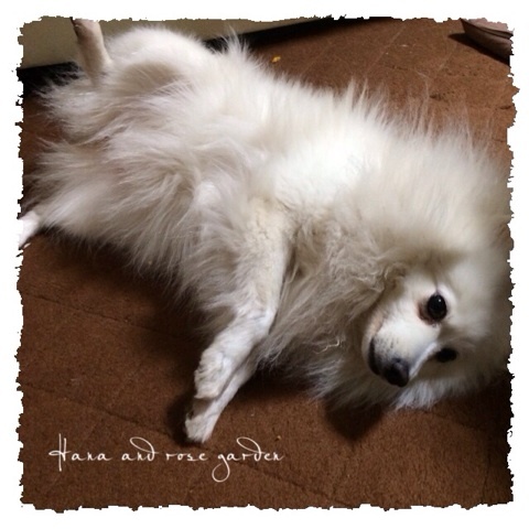 {01AE937A-6B1F-4EBA-A352-5699A54CF525:01}