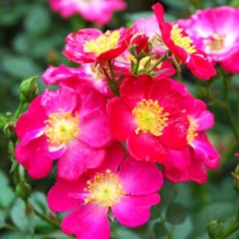{0D1EA7A3-3DB6-4A77-AE79-1DCA88786DD1:01}