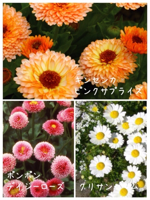 {97403BE0-5B8F-4D67-8EEC-77450D548195:01}