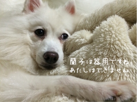 {11A7E7EC-0DE3-471C-A3E7-734D0EC9D676:01}
