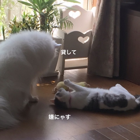 {DF0328EE-11F1-4353-ADD3-7340C87F74C6}