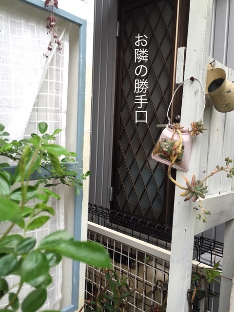 {6889597F-67AE-4924-A296-94F449720E54}