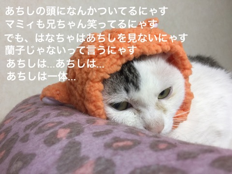 {3CD21914-FED1-46CD-A6AA-DCC3133F39B1}