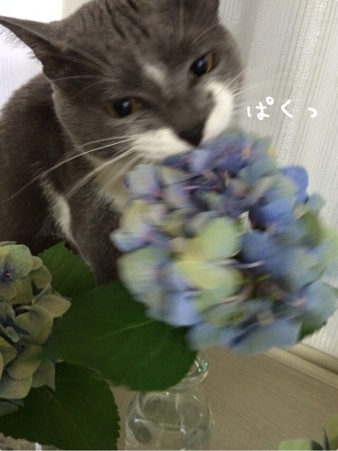 {83560997-12FB-40BD-A924-545B275D3A26:01}