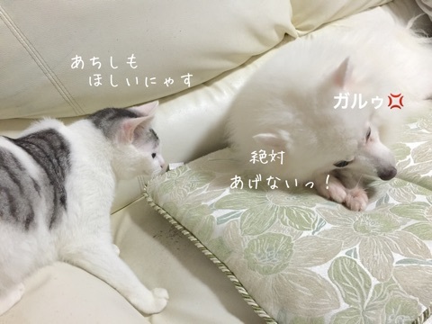 {9C1C008F-315F-44BA-803A-04F31911BAFE:01}