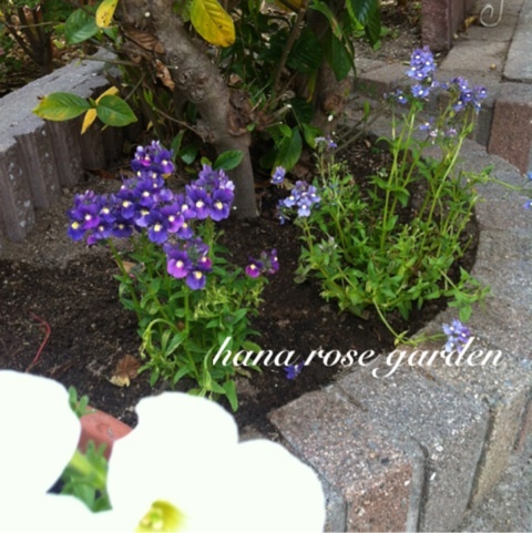 photo:02