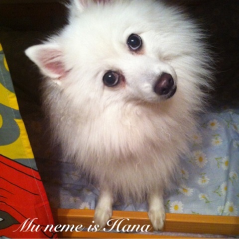 photo:03