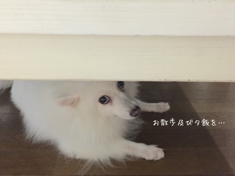 {CA0CE40F-7854-4FB2-B090-FF47569DD95A:01}