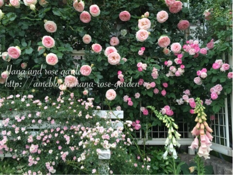 {56BD39CF-1095-4263-A1BD-A941BA192EE6:01}